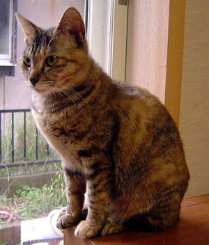 Cnv03702.jpg