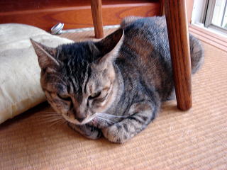 DSC000621.jpg