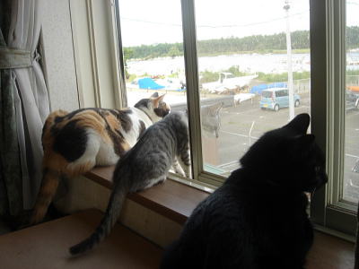 DSC00705-11.jpg