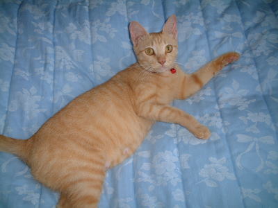 DSCF00281.jpg